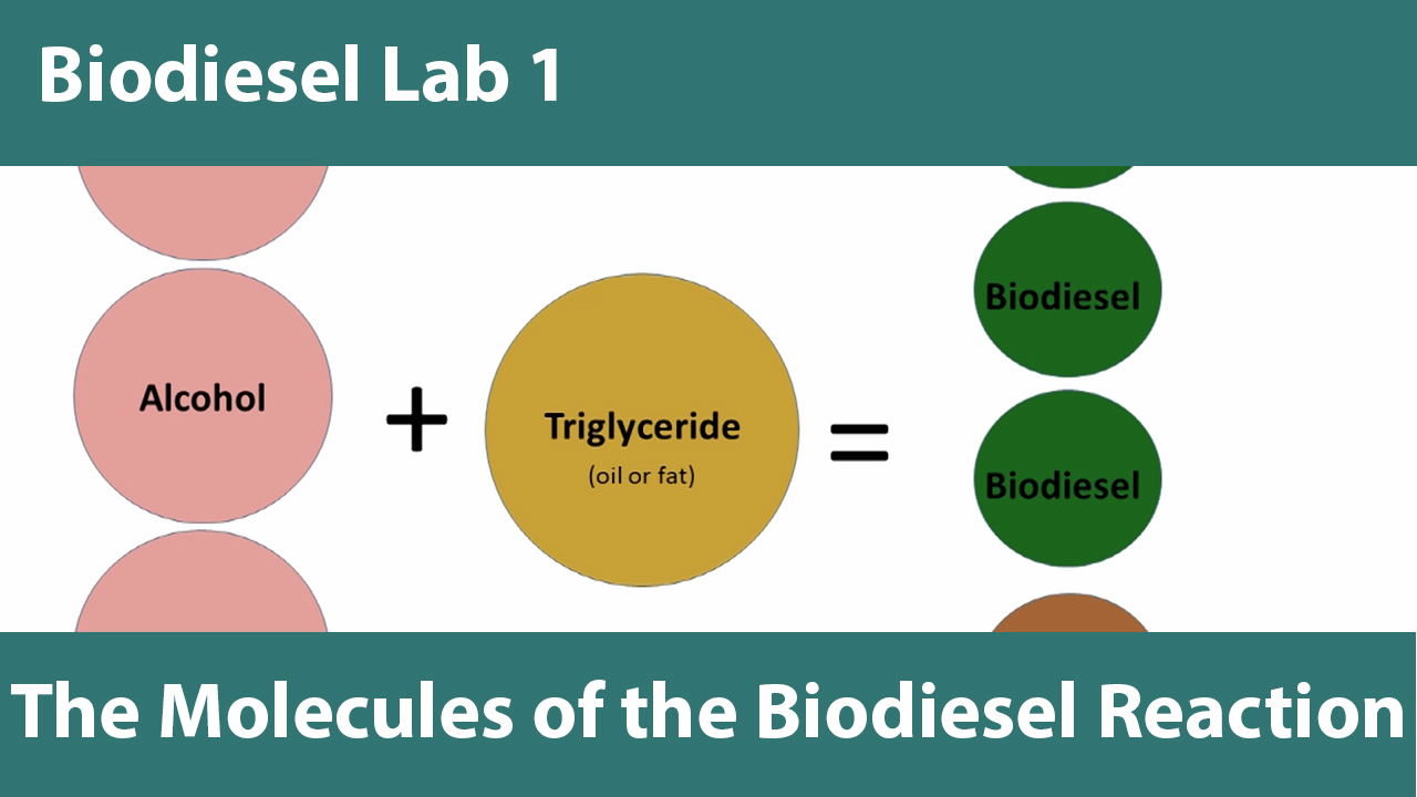 Biodiesel Education at the University of Idaho